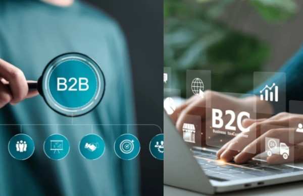 What are the Key Differences Between B2B and B2C Lead Databases