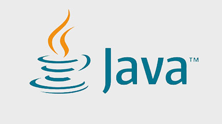 Top 9 Best and Must Learn Programming Languages in 2026 2 Java programming language logo
