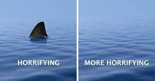 World wide fund for nature has this print ad to show in one image the horrific thought of having a shark tail you and when there is just no life in water